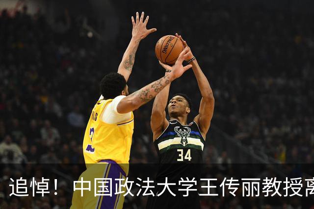 追悼！中国政法大学王传丽教授离世